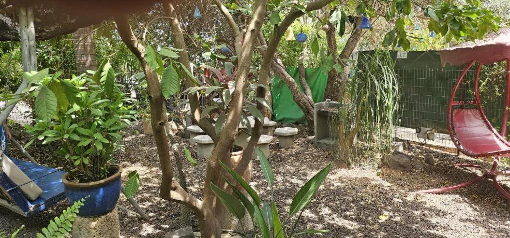 נופש דביר - סוויטות מהממות ובקתה כפרית עם ג'קוזי ליד הכנרת - יש מקלט צמוד Villa Migdal Kamer foto